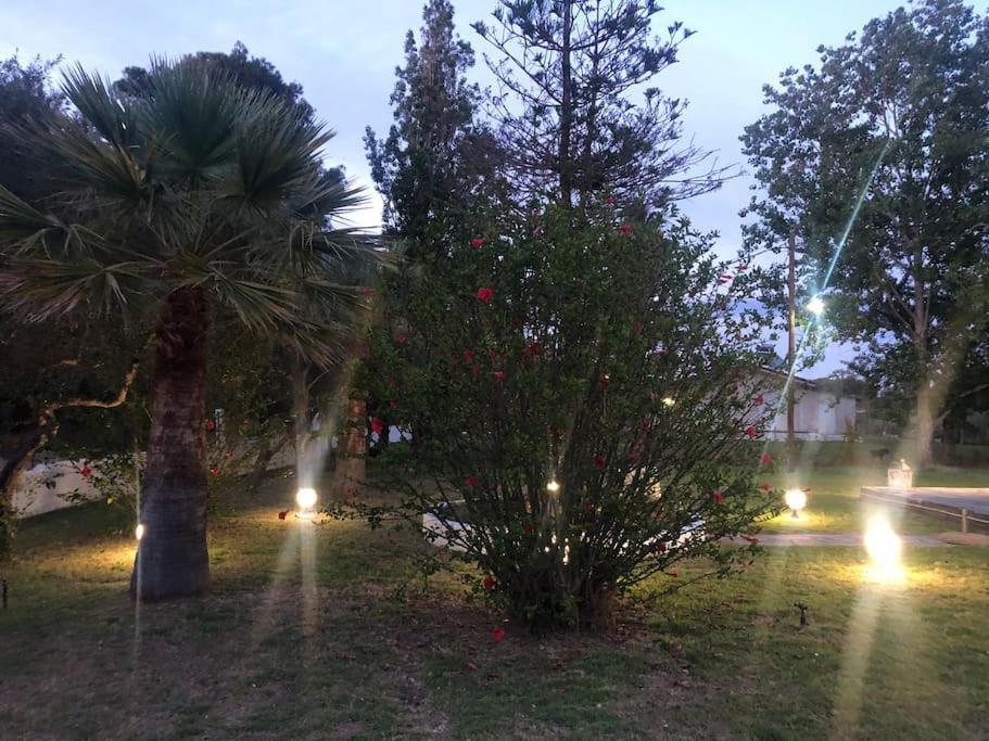 Manolas Villa Anastasia! In Strofylia Pine Forest!!! מראה חיצוני תמונה