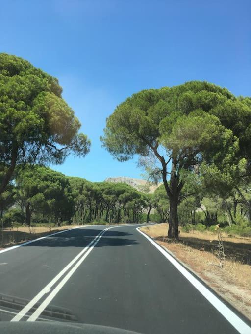 Manolas Villa Anastasia! In Strofylia Pine Forest!!! מראה חיצוני תמונה
