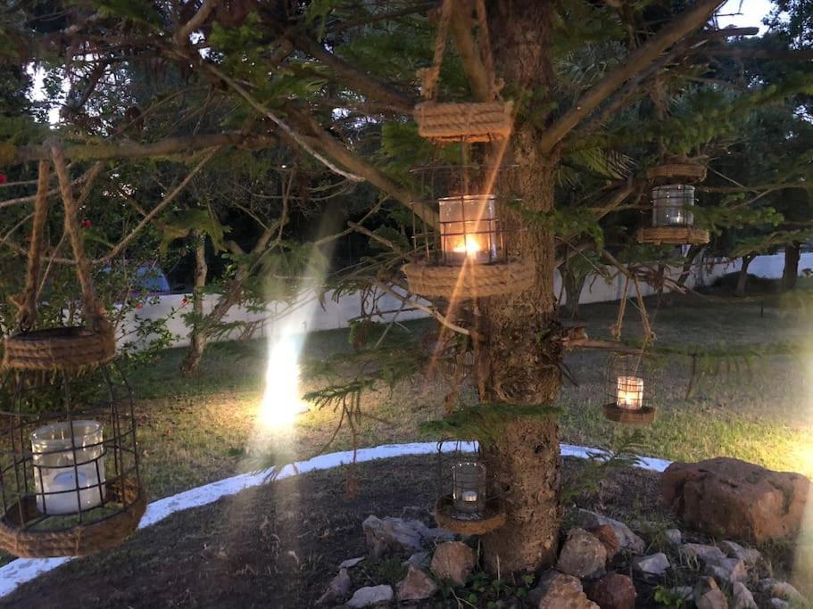 Manolas Villa Anastasia! In Strofylia Pine Forest!!! מראה חיצוני תמונה