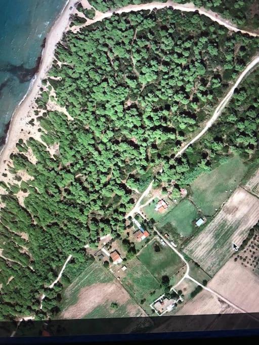 Manolas Villa Anastasia! In Strofylia Pine Forest!!! מראה חיצוני תמונה