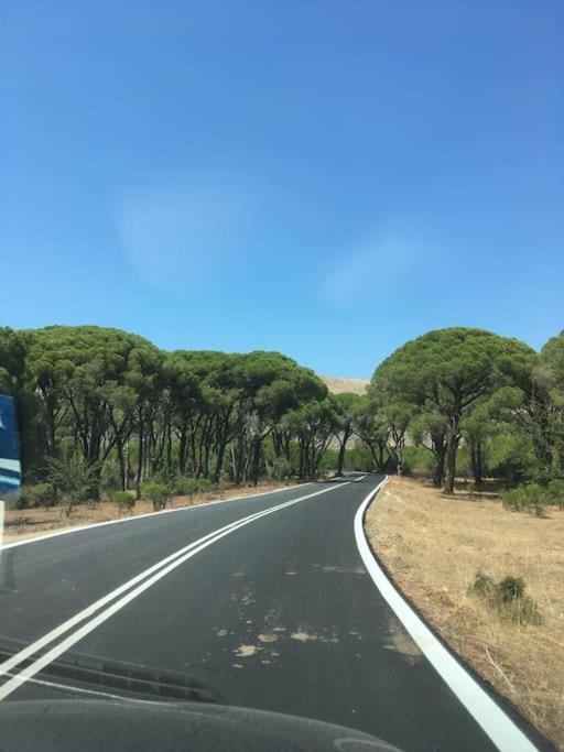 Manolas Villa Anastasia! In Strofylia Pine Forest!!! מראה חיצוני תמונה