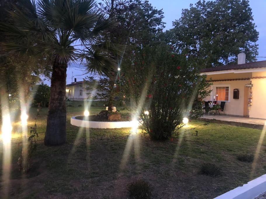 Manolas Villa Anastasia! In Strofylia Pine Forest!!! מראה חיצוני תמונה