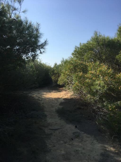 Manolas Villa Anastasia! In Strofylia Pine Forest!!! מראה חיצוני תמונה