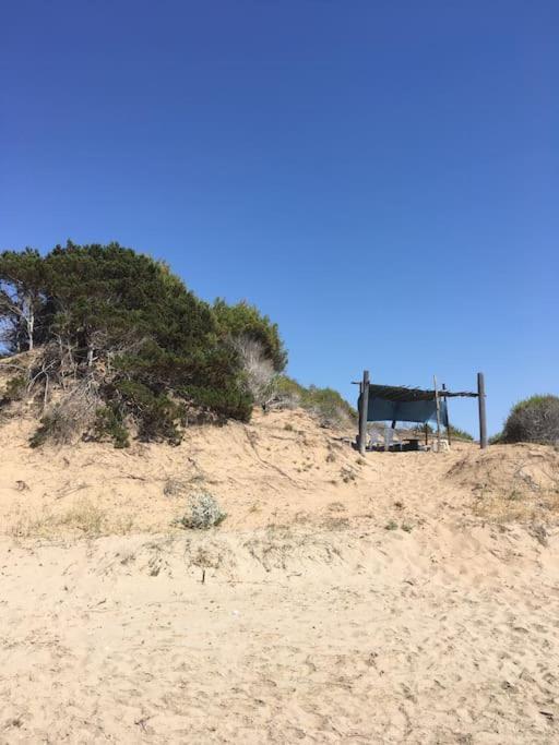 Manolas Villa Anastasia! In Strofylia Pine Forest!!! מראה חיצוני תמונה